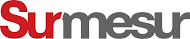 Logo surmesur web